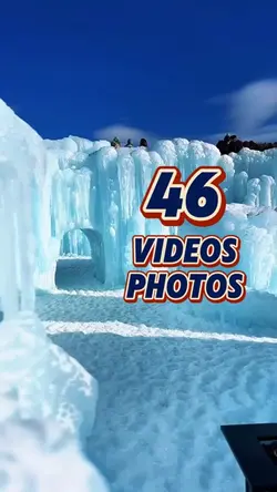 46 video or photo 