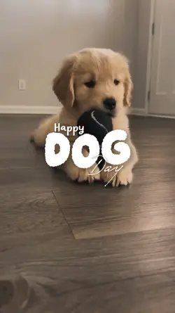 happy dog day