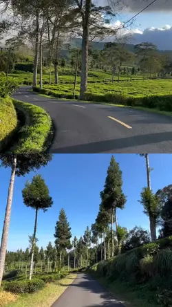 2 video di gabung