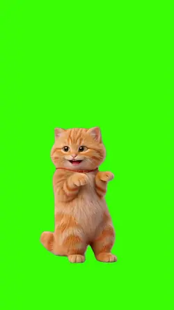 Cat/Gato