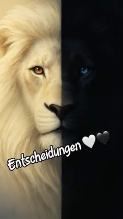 Entscheidungen 🤍🖤
