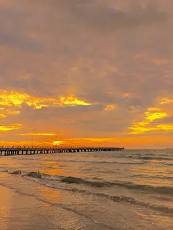 Filter senja