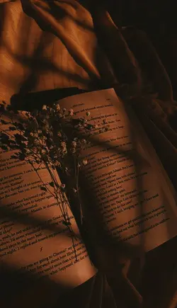 aesthetic