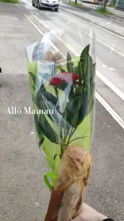 Allô "someone" 3