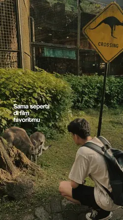 film favorit