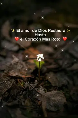 🤍🙏🏼✨