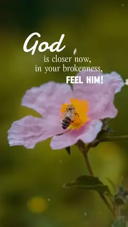 Feel God's Presence