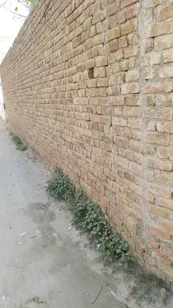 slow motion 