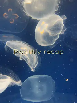 Monthly recap