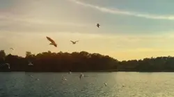 slowmo