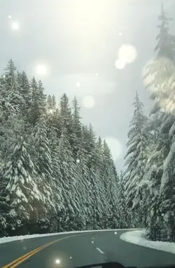 Snowy Roa
