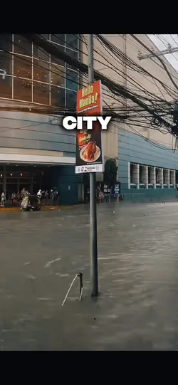 City vs Province 