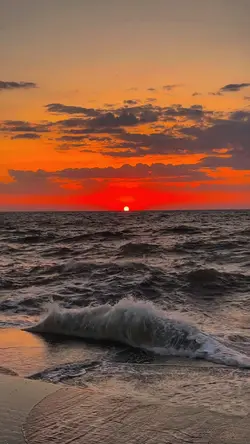 SENJA AESTHETIC HD