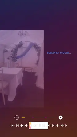 Sochta houn