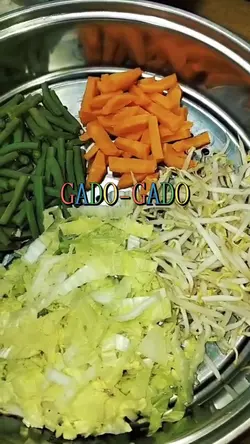 GADO GADO