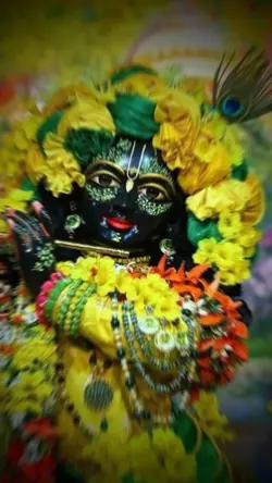 कान्हा🦚🙏🏻😍