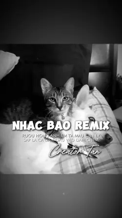 Nhạc Báo REMIX 