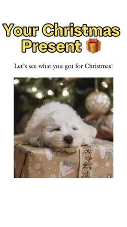 Christmas presents 🎁