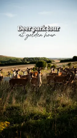 Deer park 🦌