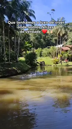 Vida no campo