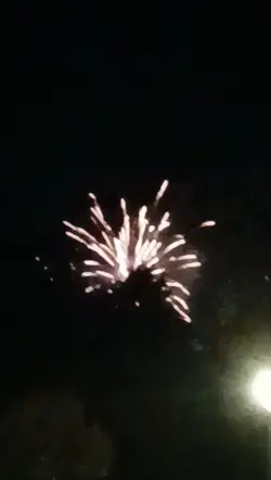 feu 2