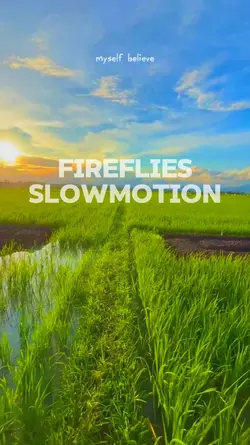 Slowmo FireFlies