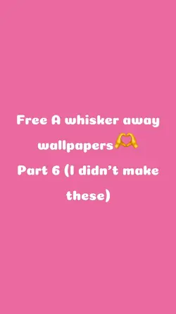 A whisker away