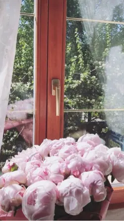 jellyous