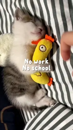 No work No school