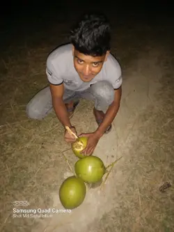 a bondu a 