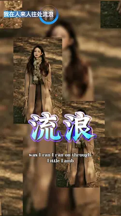 我在人来人往处流浪dj