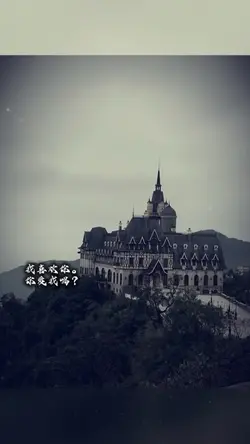 Mẫu 1 ảnh