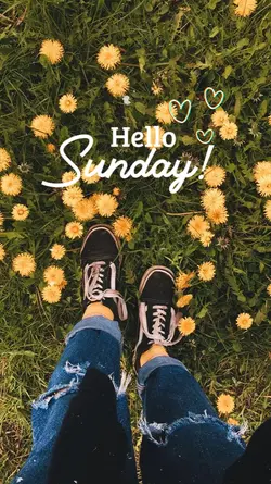 Hello Sunday 