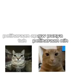 Story 