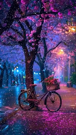 beaitiful tree