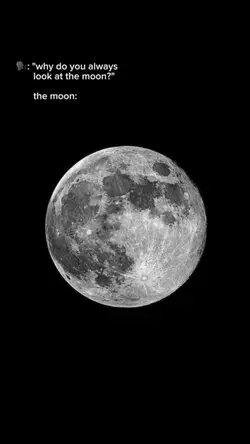 moon trend