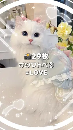 🎵ナツマトペ②