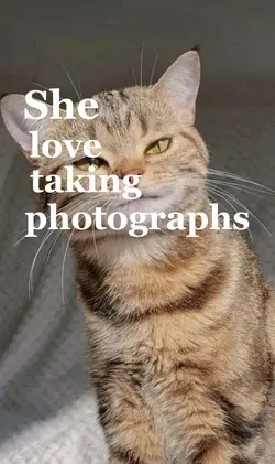 JULY DUMP