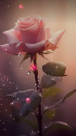 Pink rous