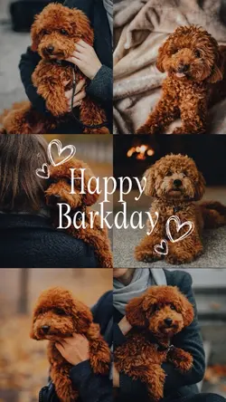 Happy Barkday