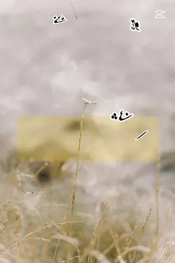 poetry video