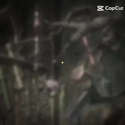 howls moving castle 
