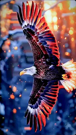 4K LIVE
WALLPAPER