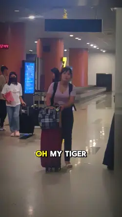 ooh my tiger