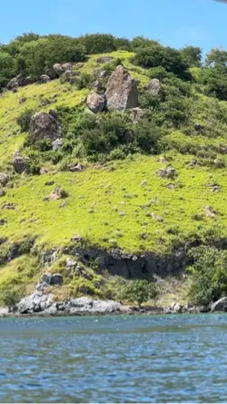Jurasic Park