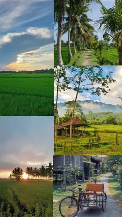 damaikampungku