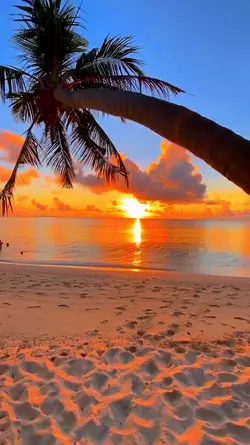 sunset aesthetic