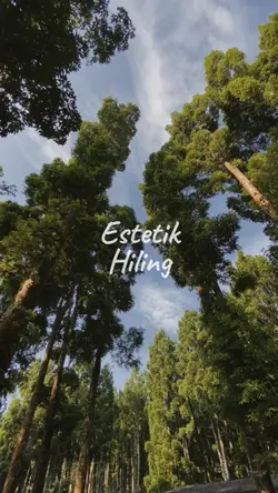 Hiling estetik