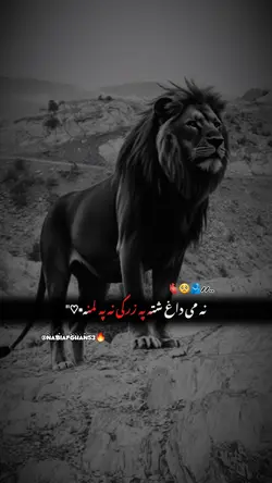 نه می داغ شته په زرک