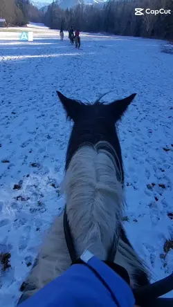 enfaîte...